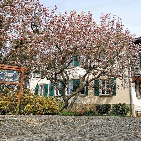 La Tirelire Bed & Breakfast Cosswiller Dış mekan fotoğraf