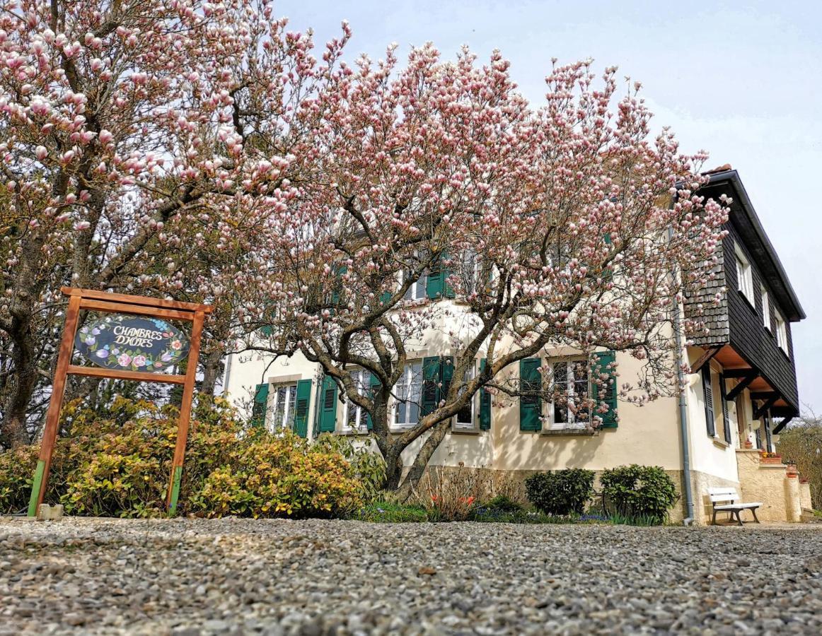 La Tirelire Bed & Breakfast Cosswiller Dış mekan fotoğraf