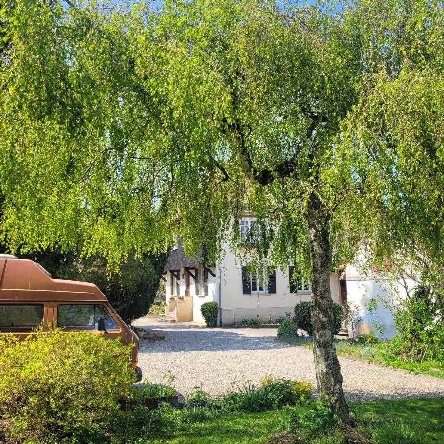 La Tirelire Bed & Breakfast Cosswiller Dış mekan fotoğraf