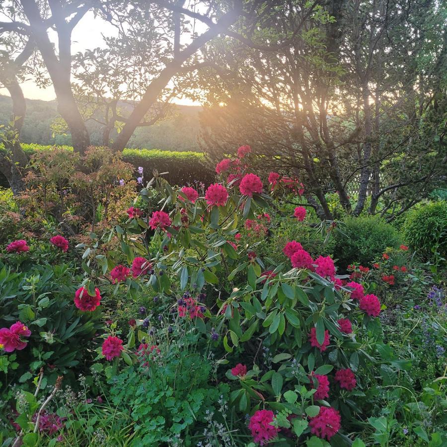 La Tirelire Bed & Breakfast Cosswiller Dış mekan fotoğraf